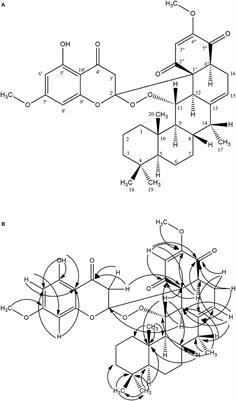 Antiparasitic and Cytotoxic Activity of Bokkosin, A Novel Diterpene-Substituted Chromanyl Benzoquinone From Calliandra portoricensis